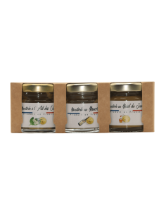 Coffret 3 Moutardes Ail des Ours, Macvin du Jura, Miel 00gr  L'ARBRE A HUILE